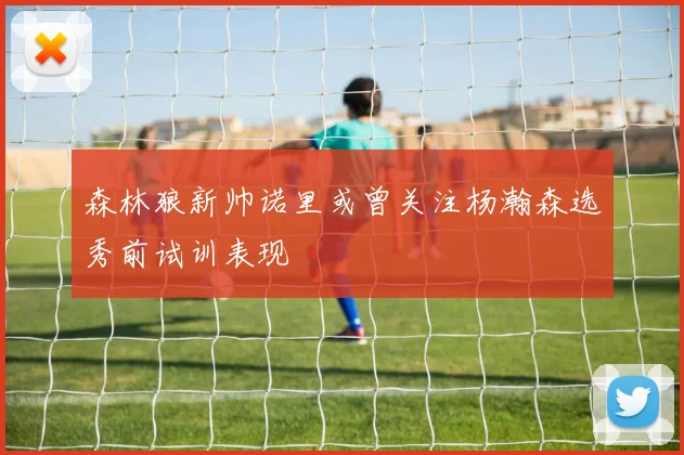 森林狼新帅诺里或曾关注杨瀚森选秀前试训表现