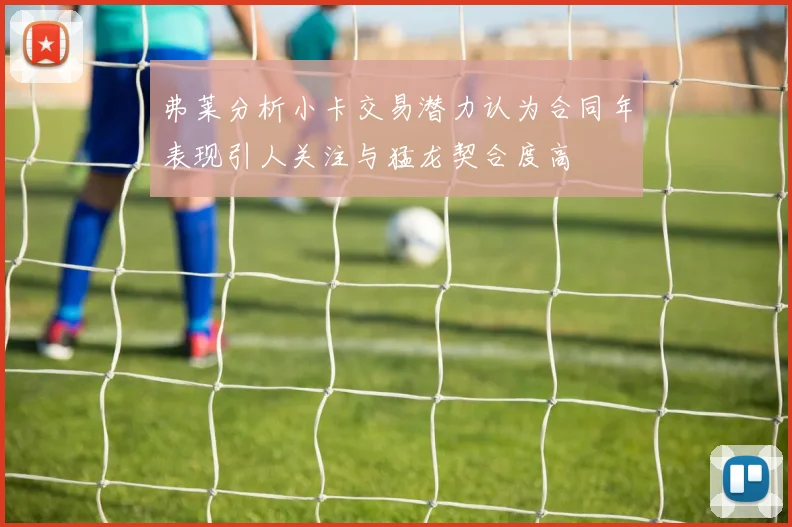 弗莱分析小卡交易潜力认为合同年表现引人关注与猛龙契合度高
